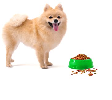 dog_food_perrosa